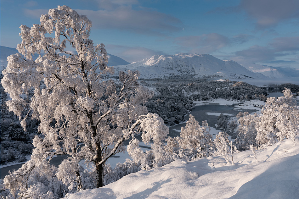 Winter Snow