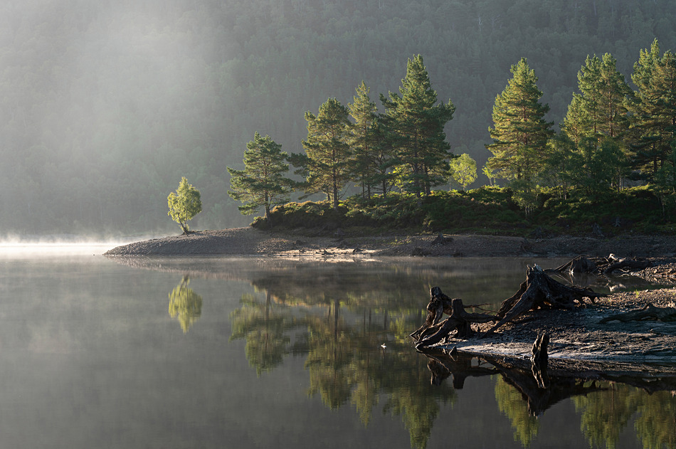 Caledonian Calm
