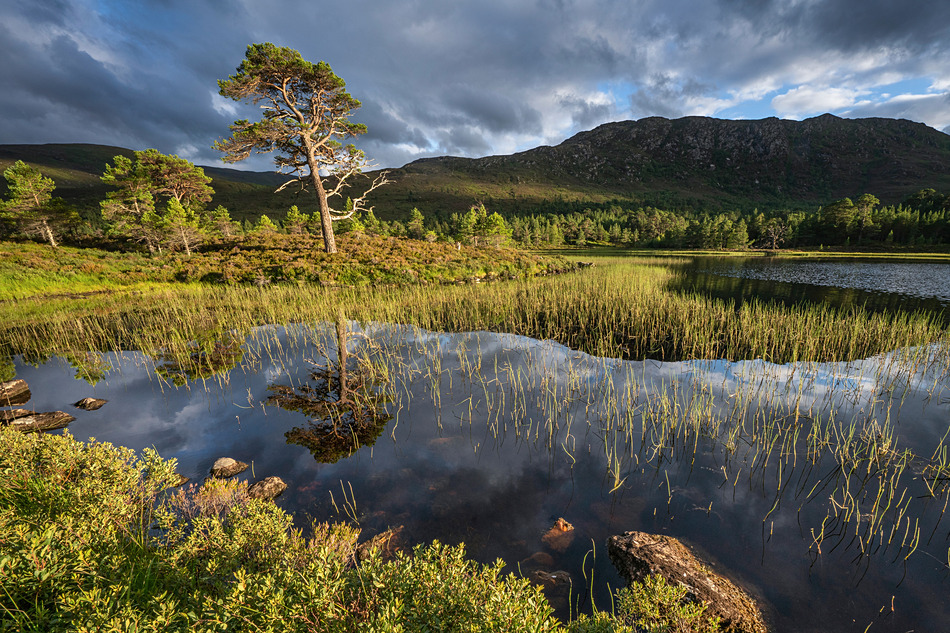 Loch Salach a’ Ghiubhais