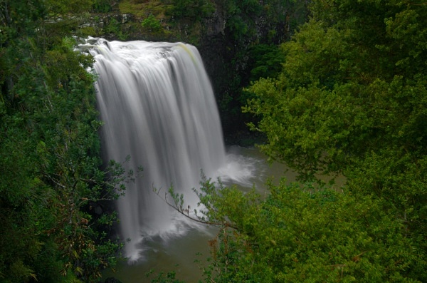 Whangerei falls - North Island