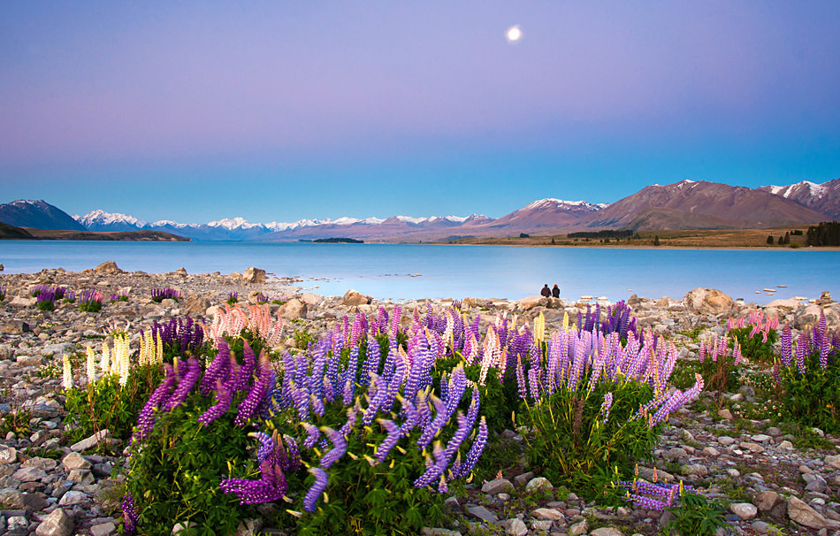 Tekapo at dusk - South Island