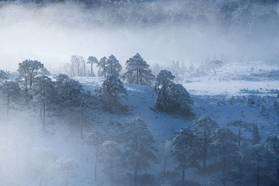 Glen Affric in Winter