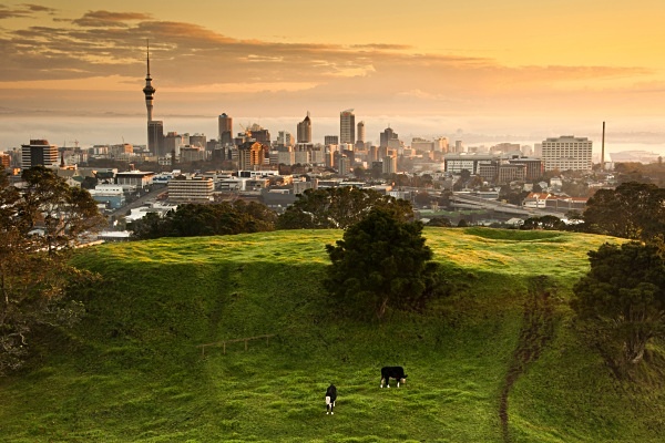 Mistry sunrise over Auckland skyline - Auckland