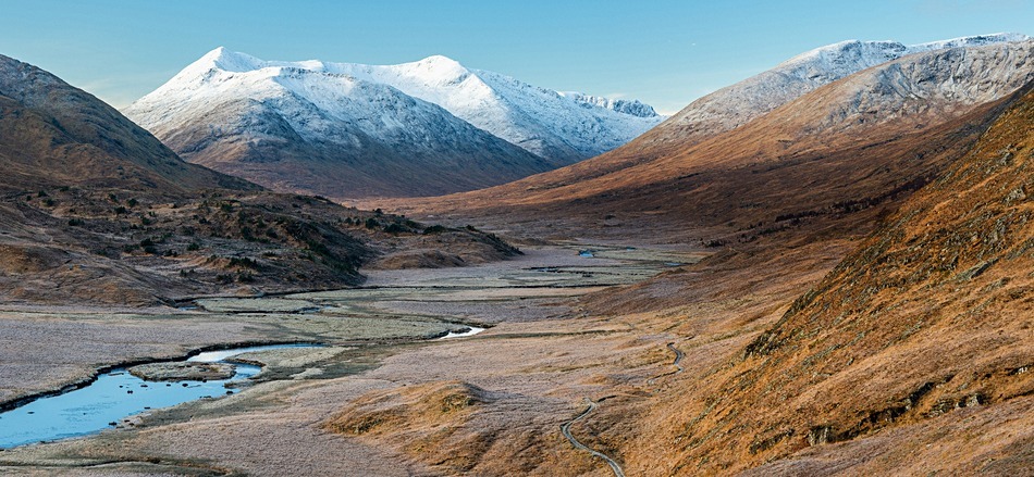  - Caledonian forest