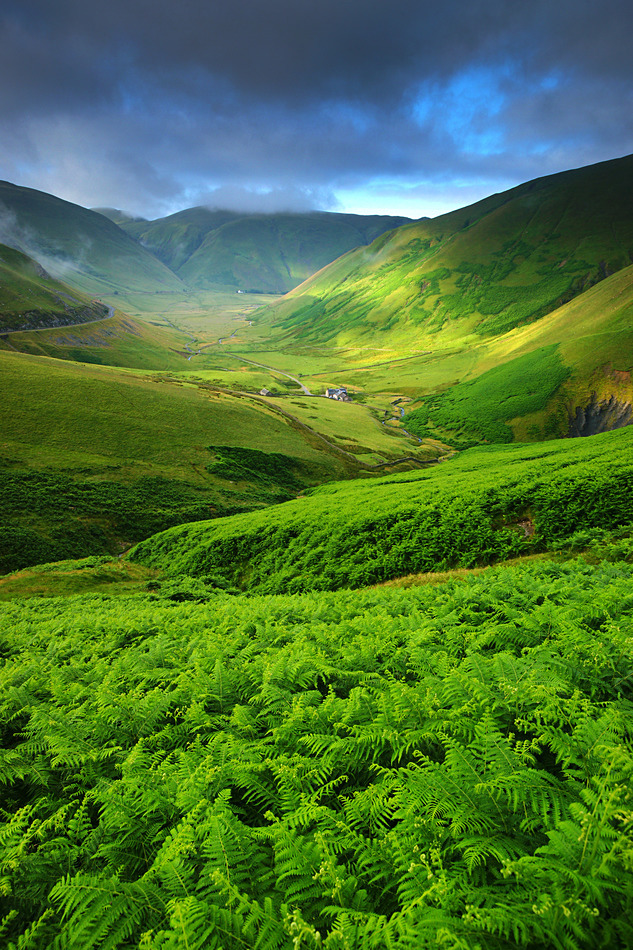 Dalveen Pass in Summer - Southwest Scotland