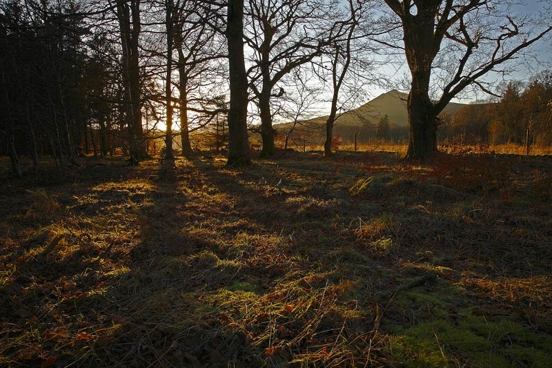 <center>Sundown on Benachie</center> - <font color=yellow>Scotland</font>