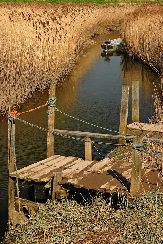 <center>Cley Marshes</center><br> - <font color=yellow>Norfolk</font>