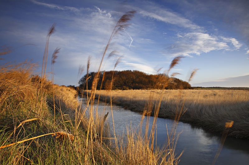 <center>Snape Marshes</center><br> - <font color=yellow>Suffolk</font>