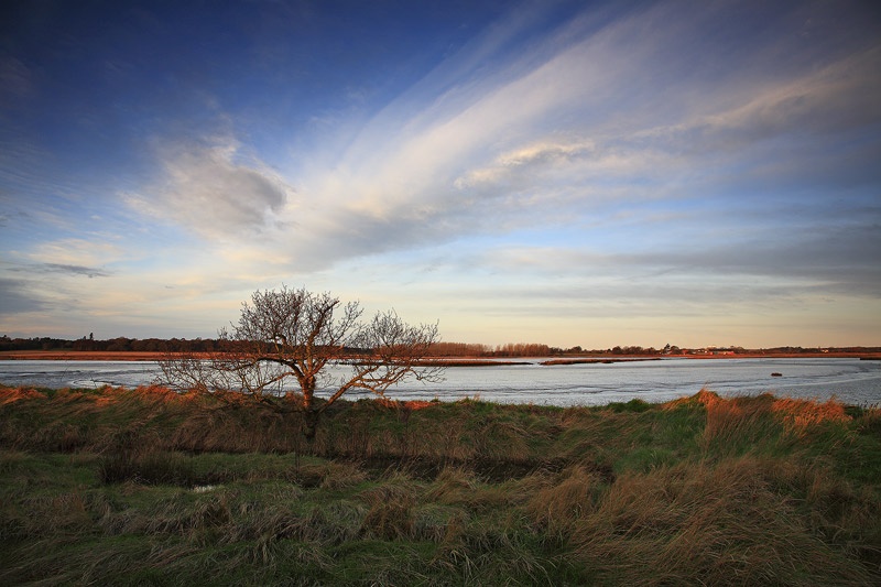 <center>Snape Marshes</center><br> - <font color=yellow>Suffolk</font>