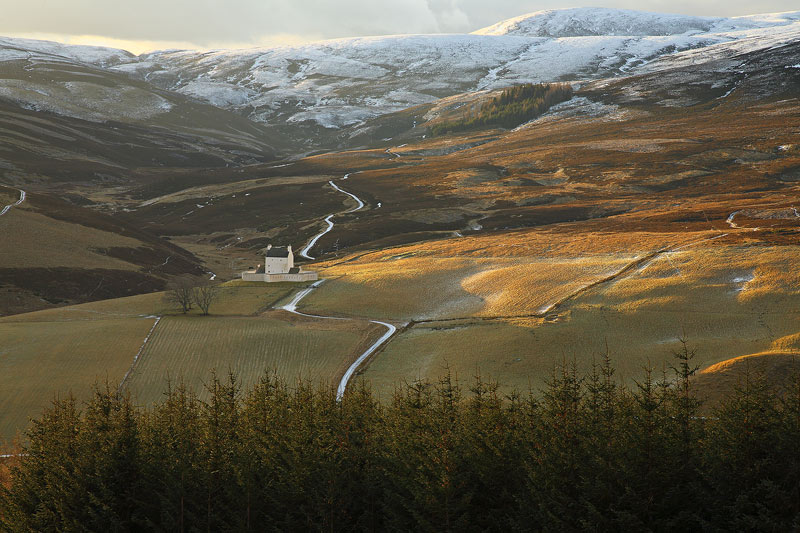 <center>The Back Garden</center> - <font color=yellow>Scotland</font>