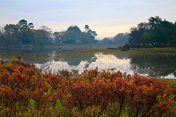 Fishermans Paradise - <font color=yellow>The New Forest</font>