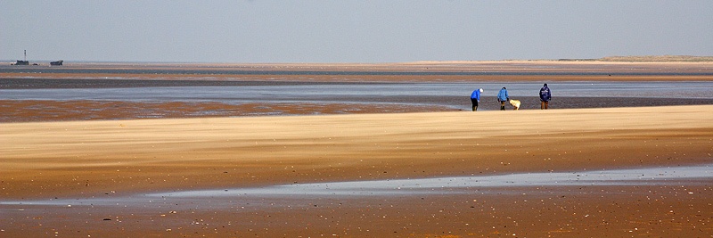 <center>Wide Open Space</center><br> - <font color=yellow>Norfolk</font>