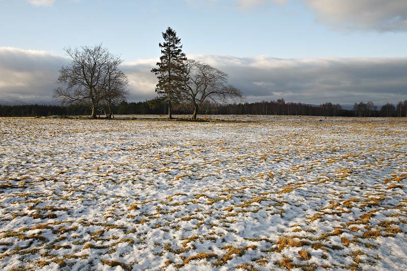 <center>The Frozen Ground</center> - <font color=yellow>Scotland</font>