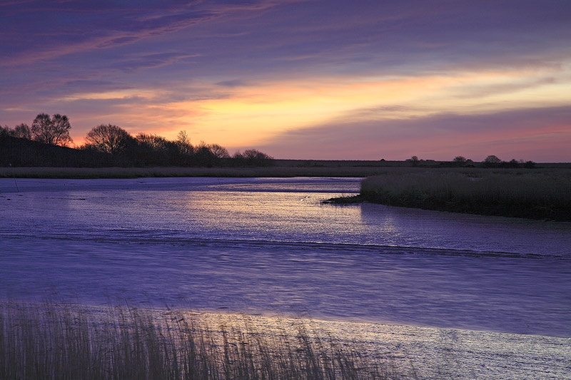 <center>Snape Marshes</center><br> - <font color=yellow>Suffolk</font>