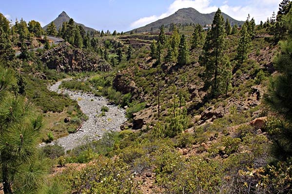 Walking Country, tenerife - <font color=yellow>Spanish Parts</font>