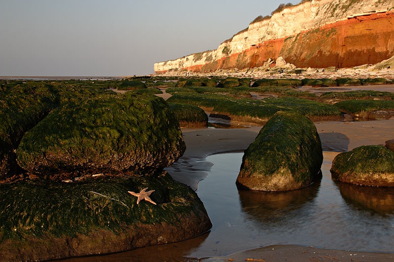 <center>Out of Water</center><br> - <font color=yellow>Norfolk</font>