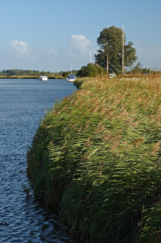 <center>The Norfolk Broads</center><br> - <font color=yellow>Norfolk</font>