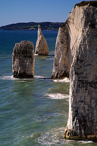 Old Harry's Mates - <font color=yellow>The Jurassic Coast</font>