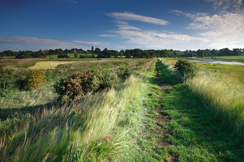 <center>Up the Creek</center> - <font color=yellow>Suffolk</font>