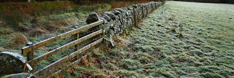 <center>Access Denied</center> - <font color=yellow>Scotland</font>