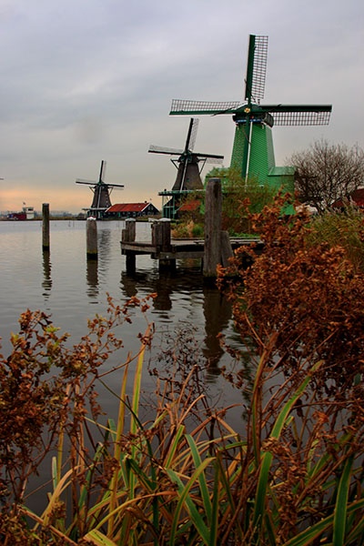 <center>Windmill Lineup</center><br> - <font color=yellow>Holland</font>