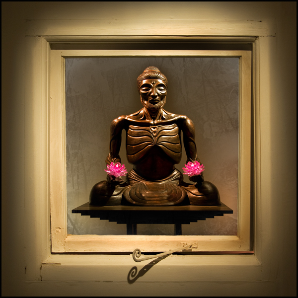 Window on the Soul - Picture Gallery