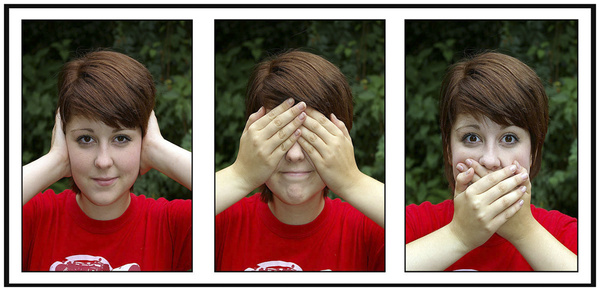 Three Wise Heathers - Triptych and Diptych
