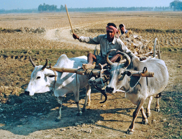 Bengal - Travels Abroad