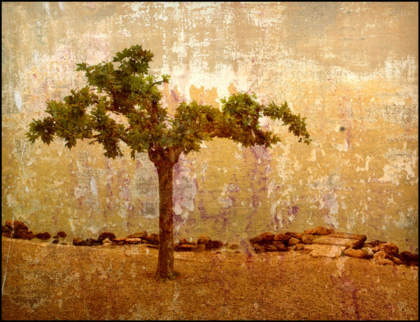 Garda No 2 - Experimental Work