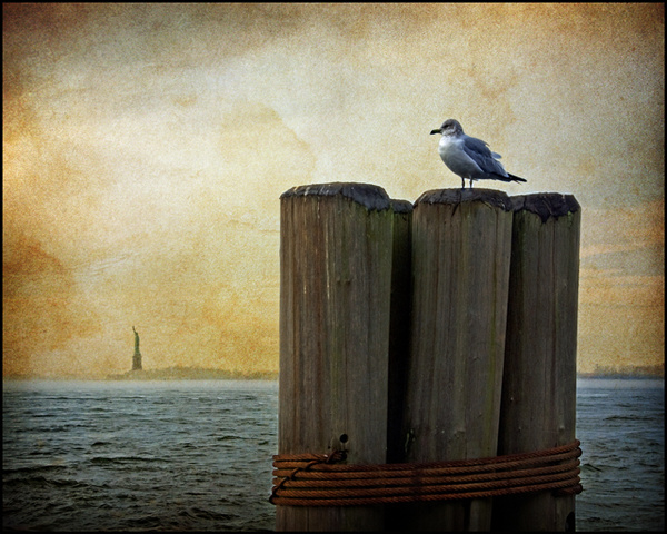 Gull and Statue of Liberty - NY Harbour - Travels Abroad