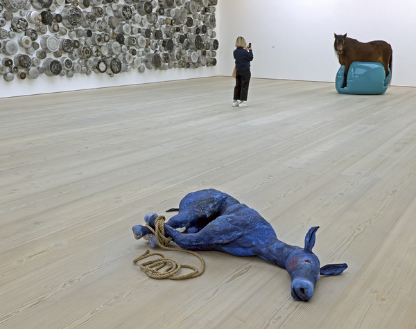 Portrait of a Dead Donkey - Images from the Saatchi Gallery