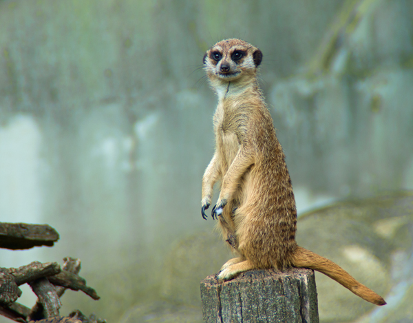 Warsaw Zoo - Travels Abroad