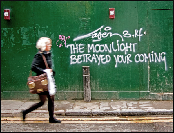 Moonlight - Picture Gallery
