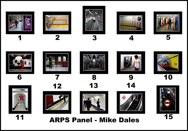 ARPS Panel - ARPS Images