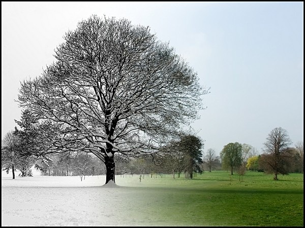 Two Seasons - Picture Gallery
