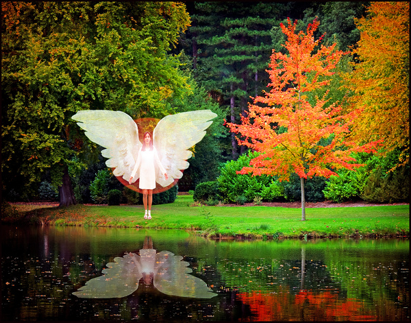 Angel - Picture Gallery