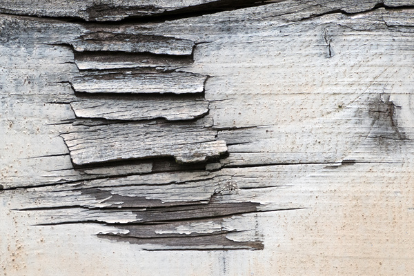 Paint and Rust 03 - Paint and Rust at Sharpness Docks