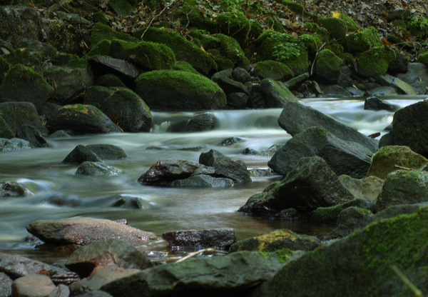  - Streams & Waterfalls