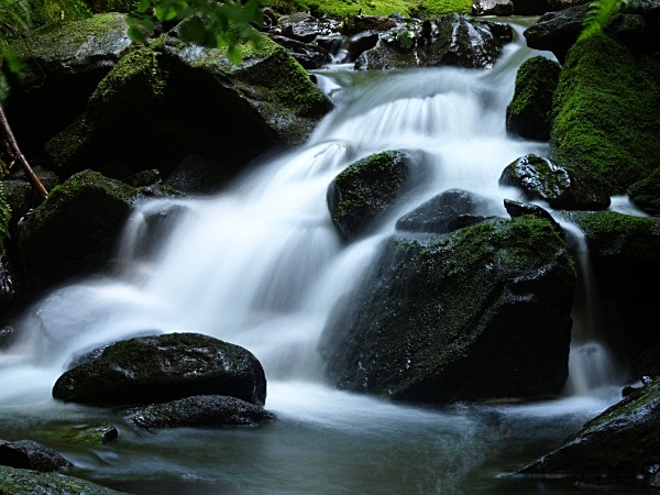  - Streams & Waterfalls