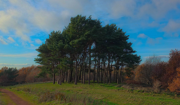  - Seascapes and Landscapes