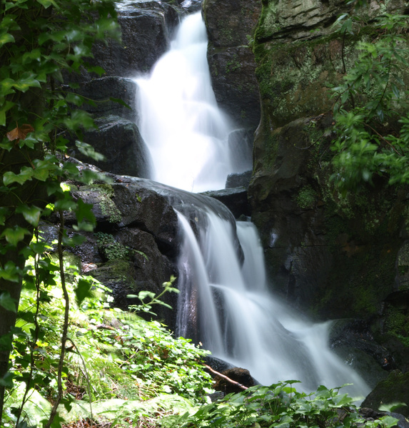  - Streams & Waterfalls