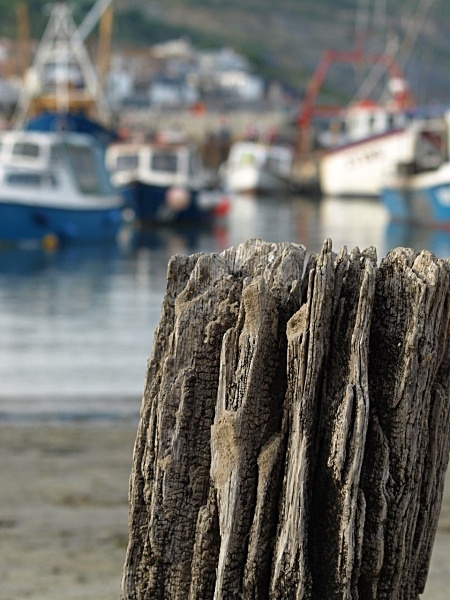  - By The Sea