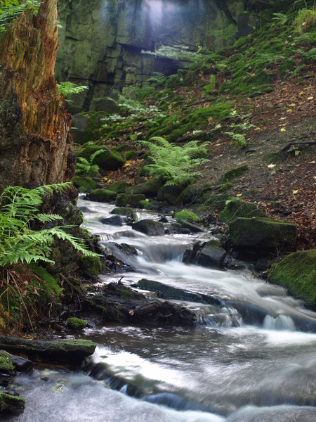  - Streams & Waterfalls
