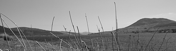  - Black White & Sepia