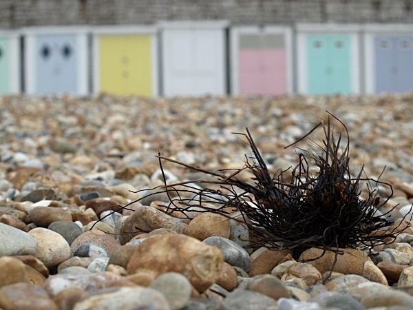  - By The Sea