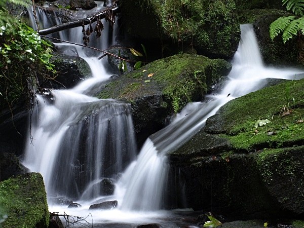  - Streams & Waterfalls