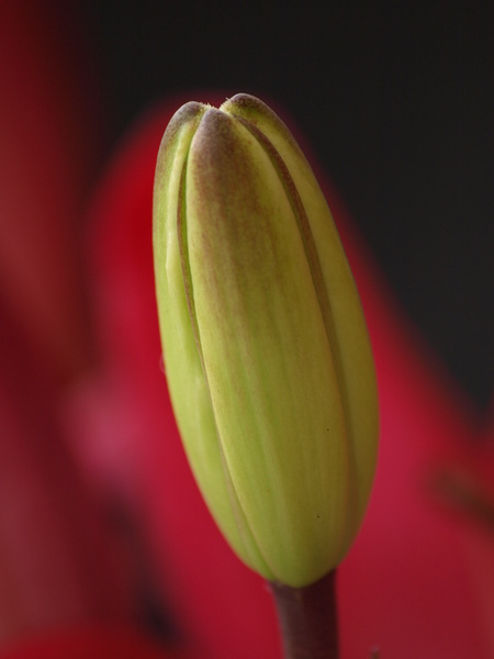  - Floral