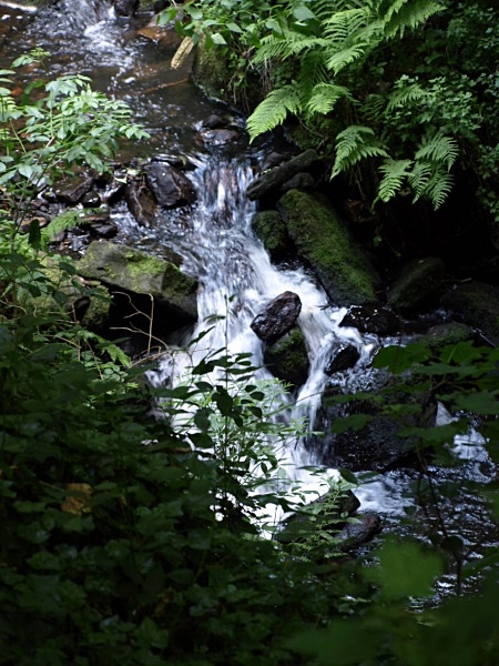  - Streams & Waterfalls