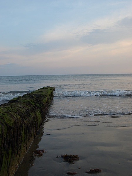  - Seascapes and Landscapes