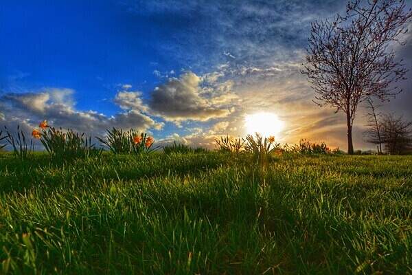  - Countryside